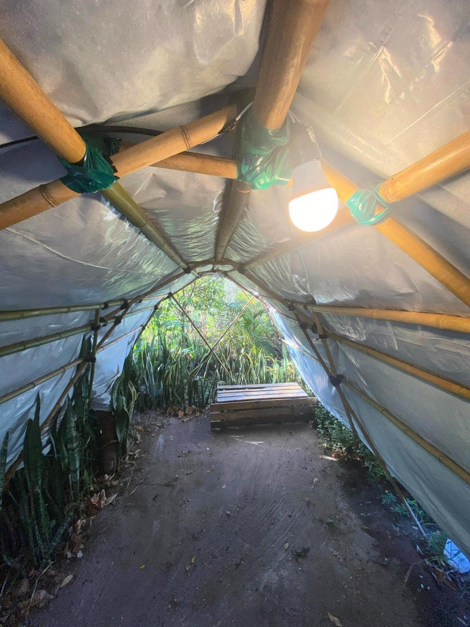 Camping Filhos Da Floresta - Vale Do Capao Eksteriør bilde