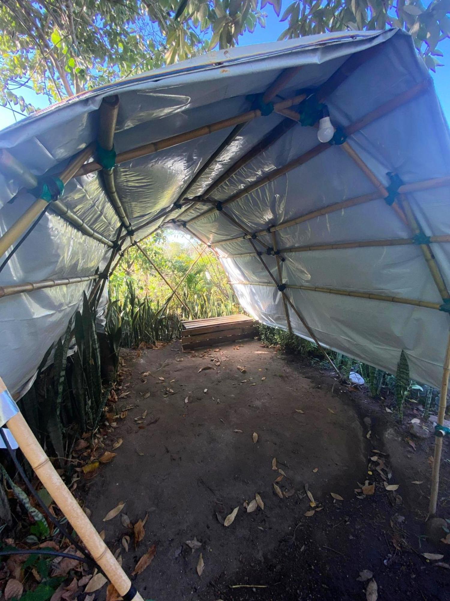 Camping Filhos Da Floresta - Vale Do Capao Eksteriør bilde